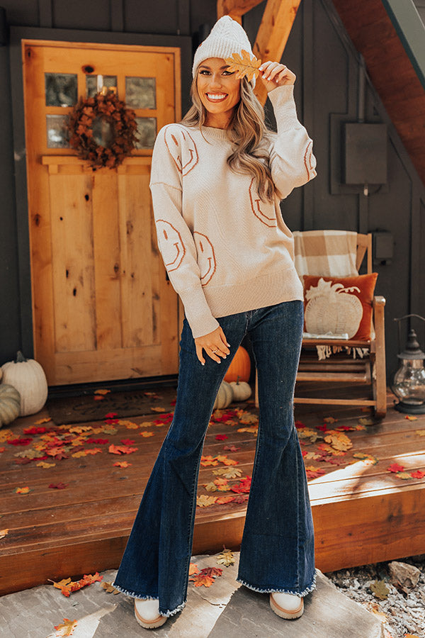 Happy Smiles Knit Sweater In Birch