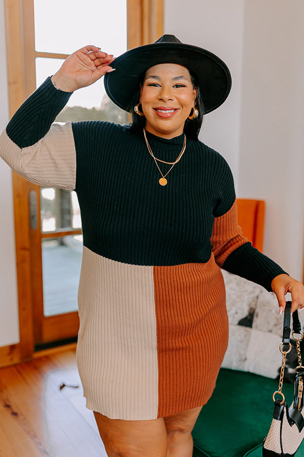 Cozier Than Most Colorblock Sweater Dress Curves